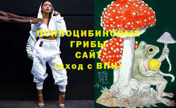 гашик Алзамай