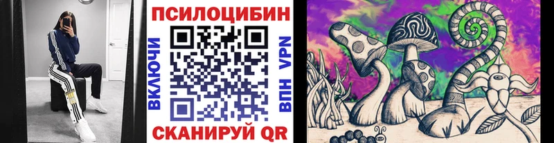 закладка  Мыски  Галлюциногенные грибы мицелий 